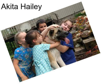 Akita Hailey