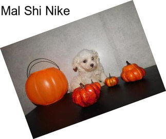 Mal Shi Nike