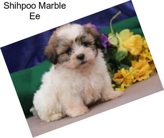 Shihpoo Marble Ee