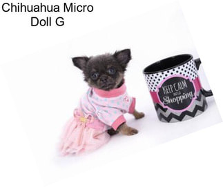 Chihuahua Micro Doll G