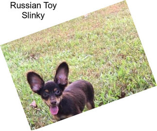 Russian Toy Slinky