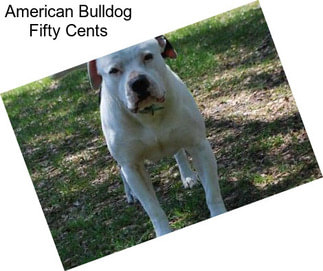 American Bulldog Fifty Cents