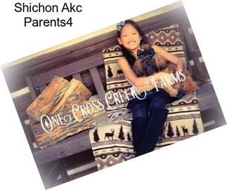 Shichon Akc Parents4