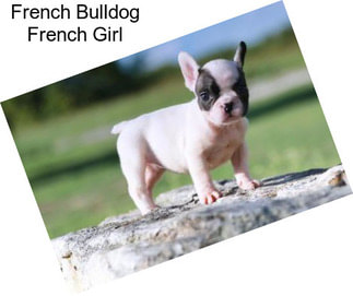 French Bulldog French Girl