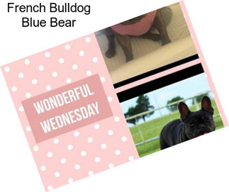 French Bulldog Blue Bear