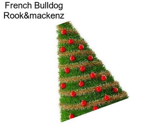 French Bulldog Rook&mackenz