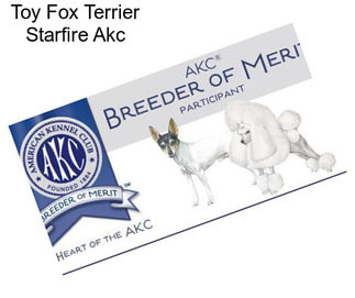 Toy Fox Terrier Starfire Akc