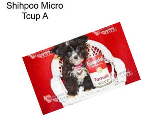 Shihpoo Micro Tcup A