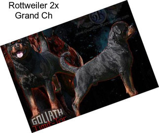 Rottweiler 2x Grand Ch