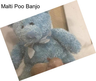 Malti Poo Banjo