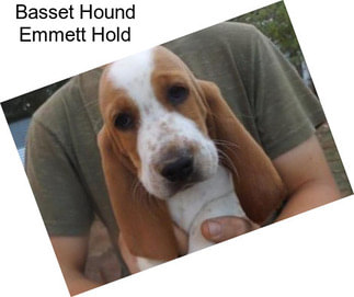 Basset Hound Emmett Hold