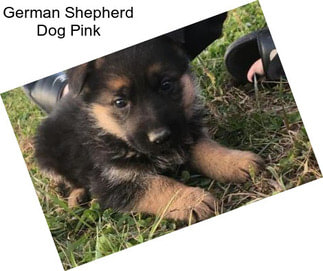 German Shepherd Dog Pink