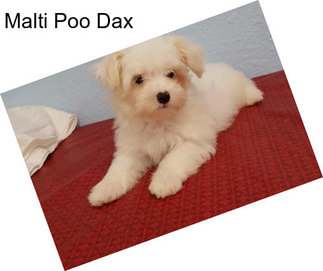 Malti Poo Dax