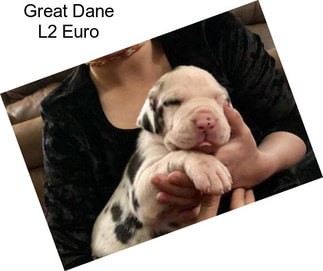 Great Dane L2 Euro