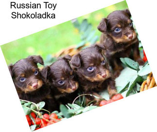 Russian Toy Shokoladka