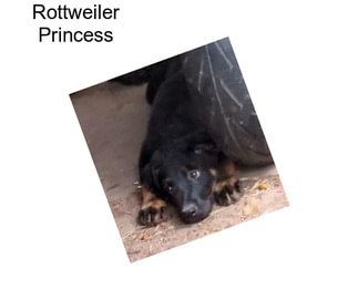 Rottweiler Princess