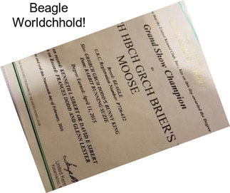 Beagle Worldchhold!