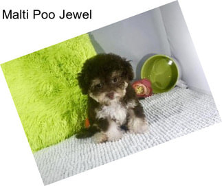 Malti Poo Jewel