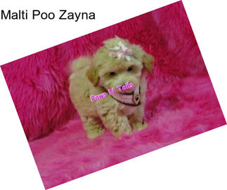 Malti Poo Zayna