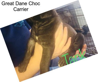 Great Dane Choc Carrier