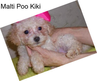 Malti Poo Kiki