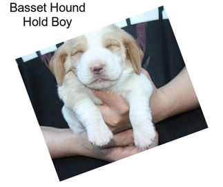 Basset Hound Hold Boy