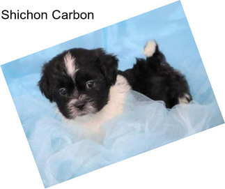 Shichon Carbon