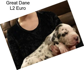 Great Dane L2 Euro