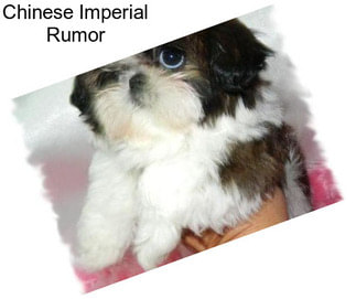 Chinese Imperial Rumor