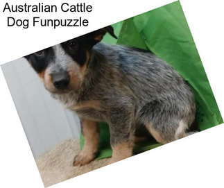 Australian Cattle Dog Funpuzzle