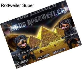 Rottweiler Super