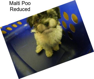 Malti Poo Reduced