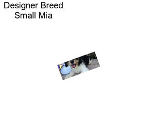 Designer Breed Small Mia