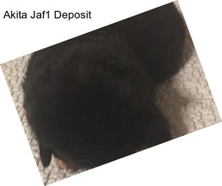 Akita Jaf1 Deposit