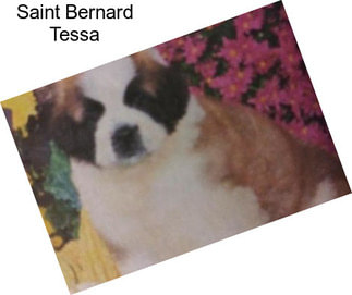 Saint Bernard Tessa