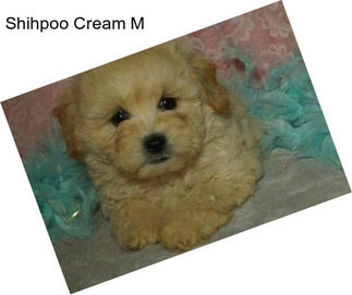 Shihpoo Cream M