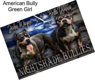 American Bully Green Girl