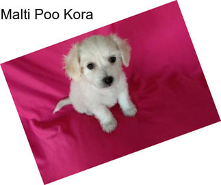 Malti Poo Kora