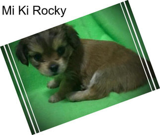 Mi Ki Rocky