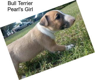 Bull Terrier Pearl\'s Girl
