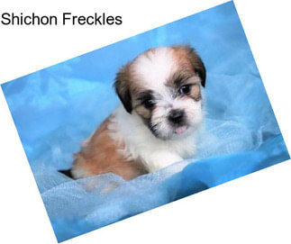 Shichon Freckles