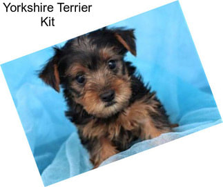 Yorkshire Terrier Kit