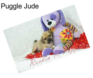 Puggle Jude