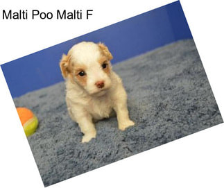 Malti Poo Malti F