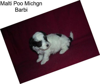 Malti Poo Michgn Barbi