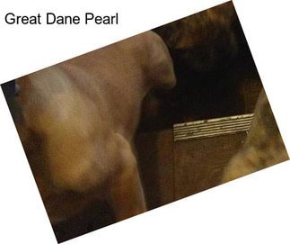 Great Dane Pearl