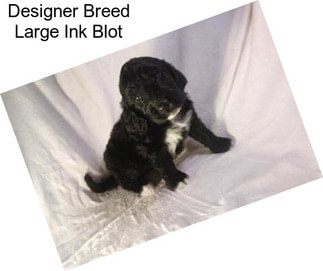 Designer Breed Large Ink Blot