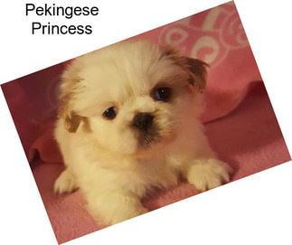 Pekingese Princess