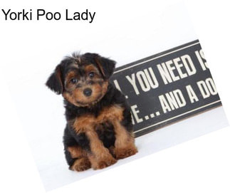 Yorki Poo Lady