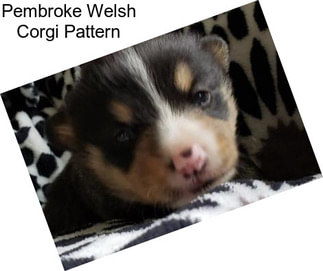 Pembroke Welsh Corgi Pattern